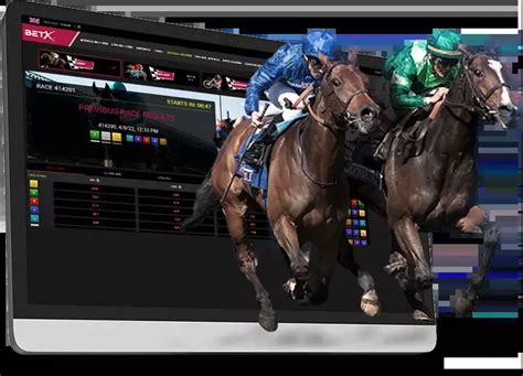 okbet horse racing online betting